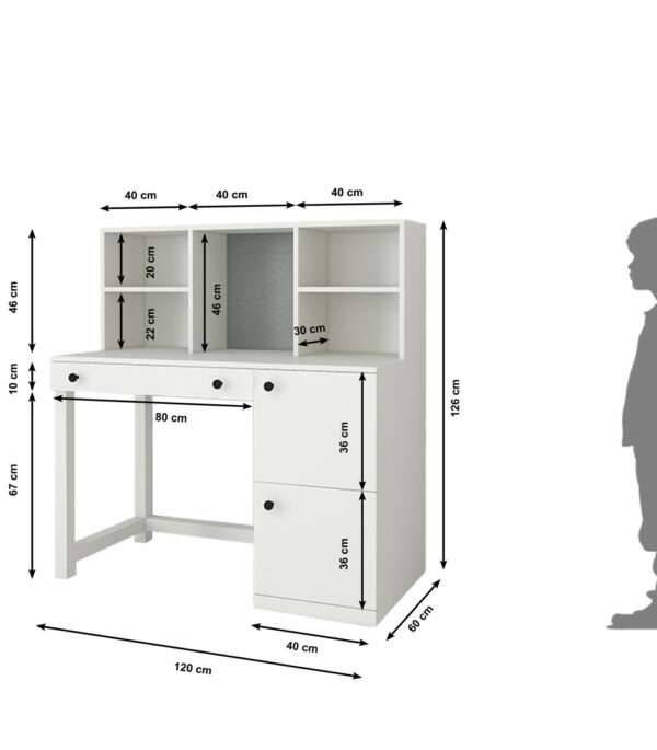 Little Scholar Desk