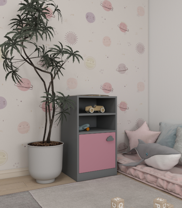 The Little Organizer
